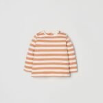 OVS T-Shirt W/Stripes Y/D Bro