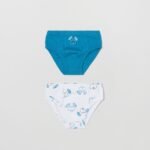 OVS Pk2 Briefs B Celestial