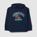 OVS Hoodie Sweat Blue Wing Te