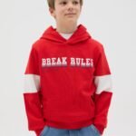 OVS Hoodie W/Ban Tomato