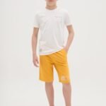 OVS Short Mod B Iceland Popp