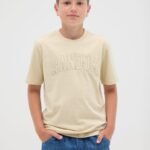 OVS T-Shirt Garm Brown Rice