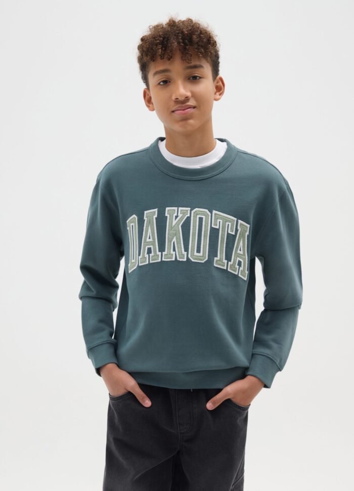 Boys' Printed Sweatshirt – Silver Pine - Image 2